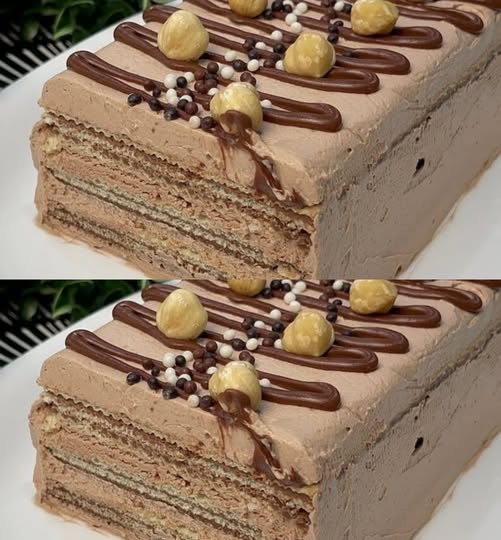 491939005 122189463332279931 466406973299182638 N