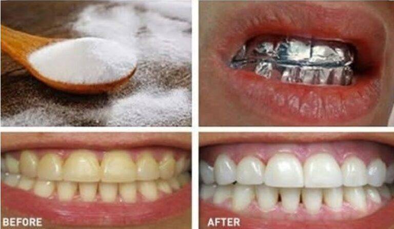 491950346 122189724782279931 6741448126672603738 N