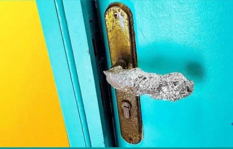 491951074 122189571560279931 4123283496780450972 N