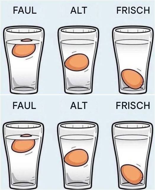 491975318 122189579330279931 6811257576897412636 N