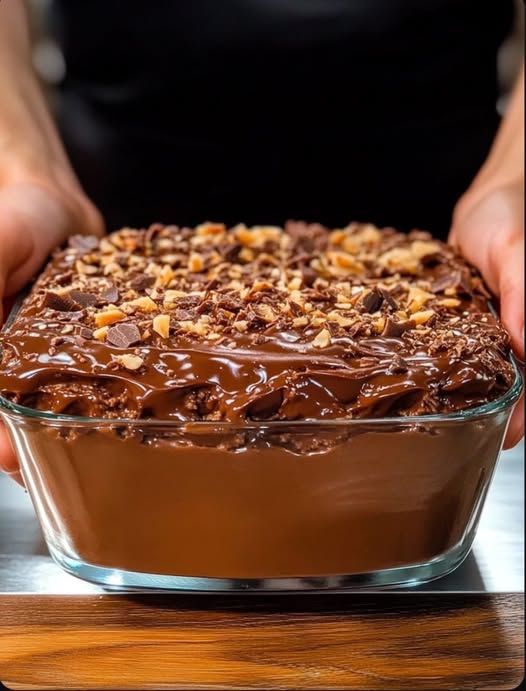 491976171 122190077162279931 3316791568030027201 N