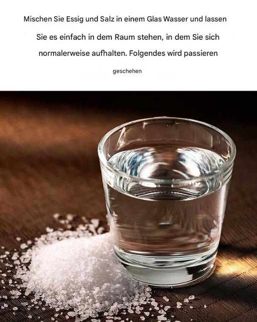 491992229 122190217736279931 9035826106711193896 N