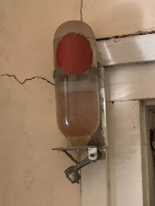 492001488 122190212858279931 1303346213026250792 N