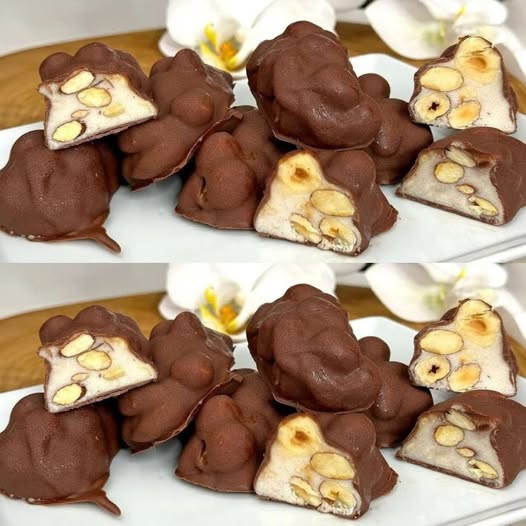 492004275 122190390020279931 1247089548367270879 N