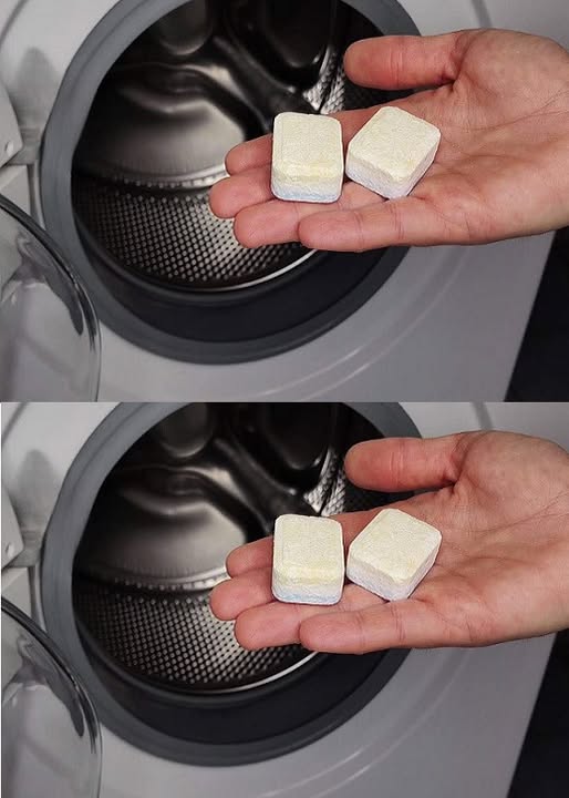 492006420 122190362684279931 4179518606920673254 N (1)