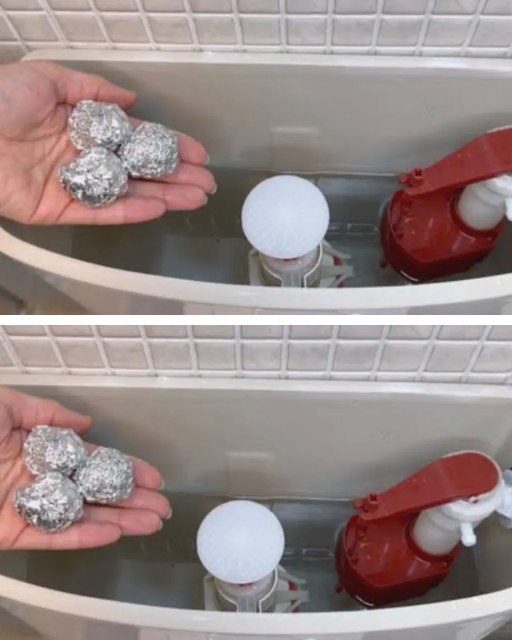 492045976 122188985774279931 7230121567578451944 N