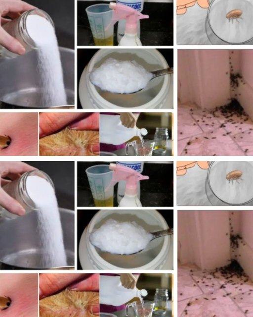 492050207 122190584162279931 8577127499793764860 N