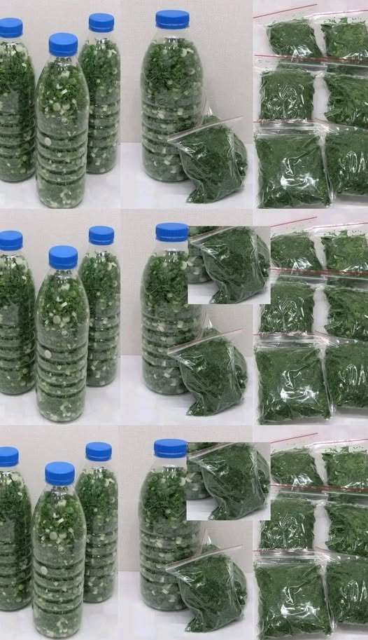 492062097 122190562850279931 4518548409540047248 N