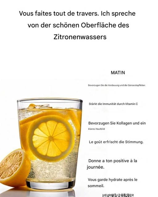 492177048 122189965802279931 51427762384622835 N