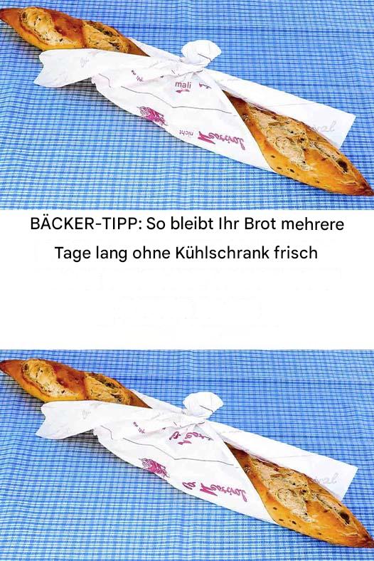 492194872 122190585740279931 245835667552641240 N