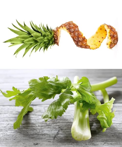 492300026 122190951428279931 1803234185515967641 N