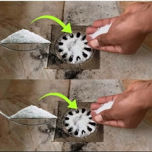 492363199 122190648146279931 4723907609696589869 N