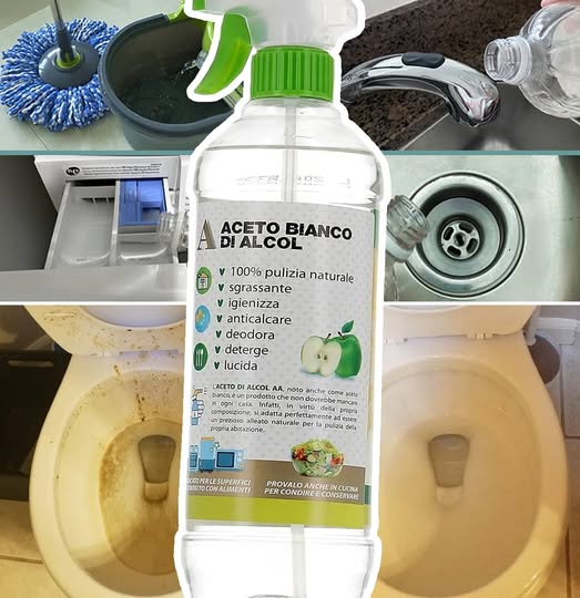 492394927 122190175856279931 286132363441307865 N