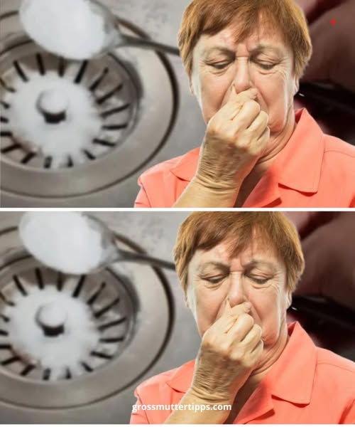 492395467 122190459008279931 3615182475617943107 N