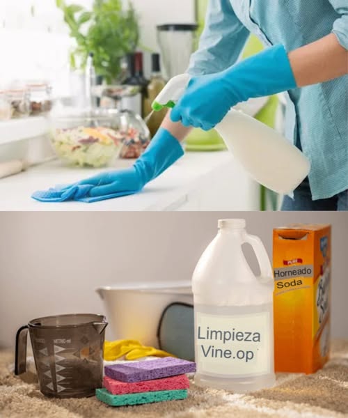 492399119 122190575066279931 87943635203416957 N