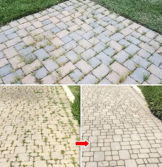 492418307 122191184210279931 2861386224576878353 N