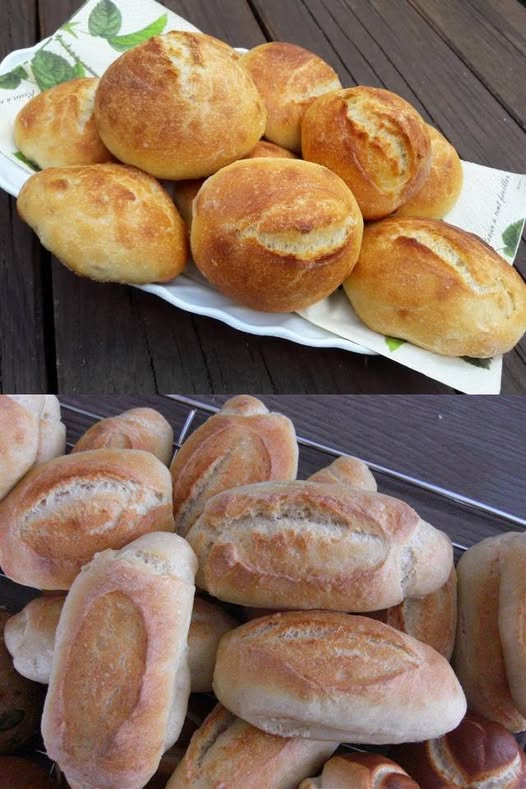 492480270 122190891842279931 202318422796455529 N