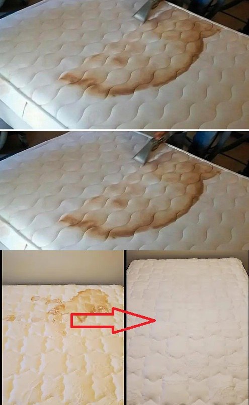 492488761 122190640682279931 7509167718636426569 N