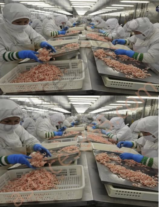 492960666 122190609278279931 565543842548522427 N