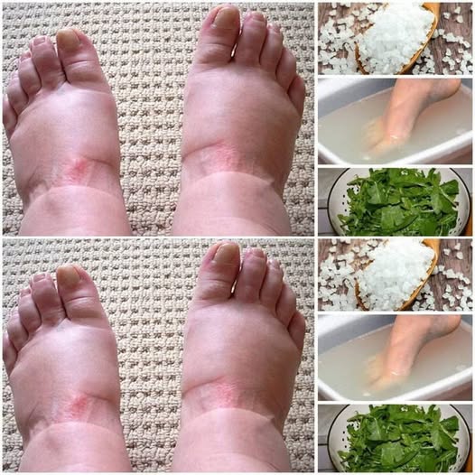 493086121 122190954806279931 53630593173149366 N