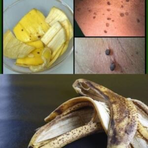 493272273 122190874070279931 4243776658114432046 N (1)