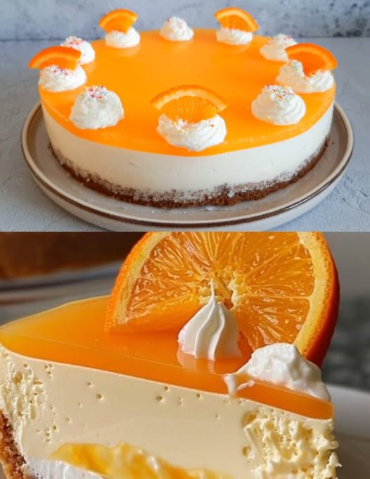 493438361 122190484232279931 8898024180920442435 N