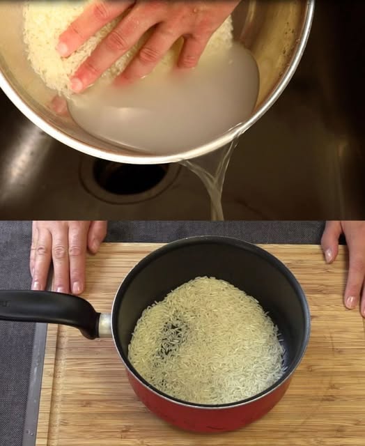 493452502 122190994202279931 6844464218115706793 N