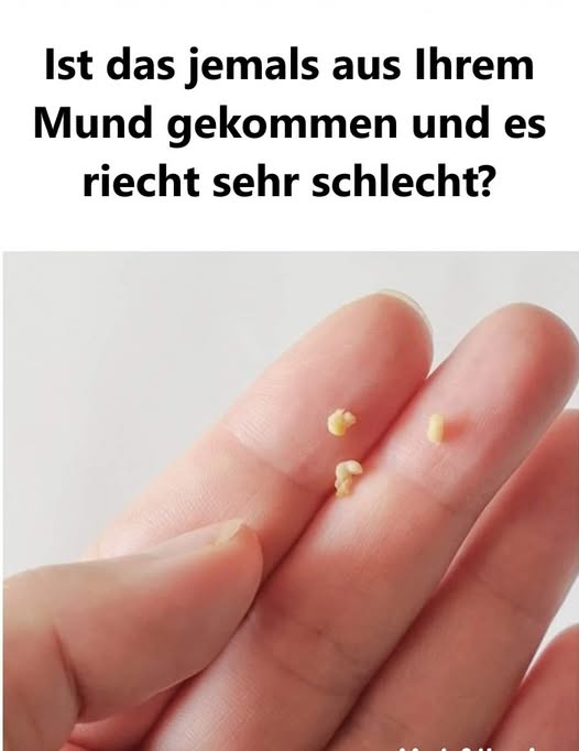 493475520 122191308314279931 1026318391820043881 N