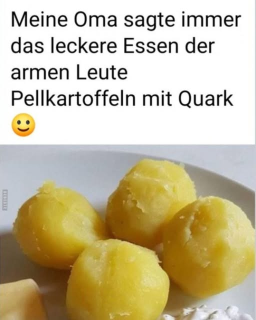 493503006 122190560510279931 1204861282917618900 N