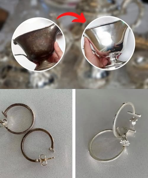 493548286 122190758840279931 9019794208416205476 N (1)