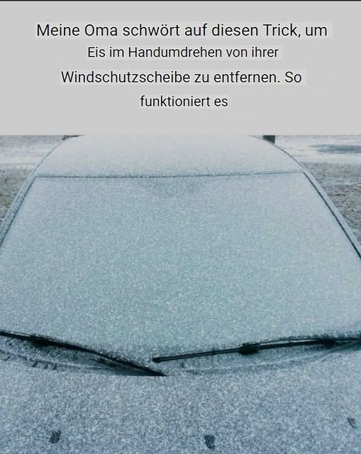 493804407 122190598394279931 774235693173134786 N