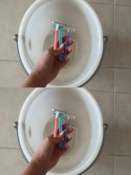 493932088 122190941252279931 5932774874613660620 N