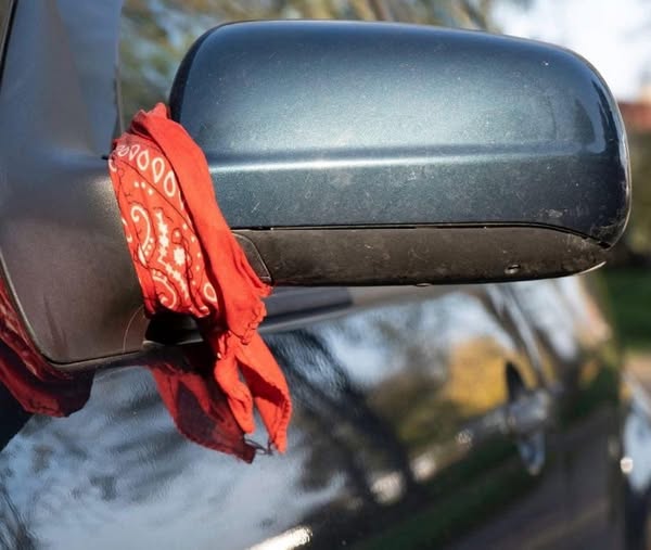 493937879 122191079516279931 6815070443341462943 N