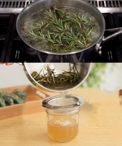 493971787 122190881792279931 903737799317342390 N