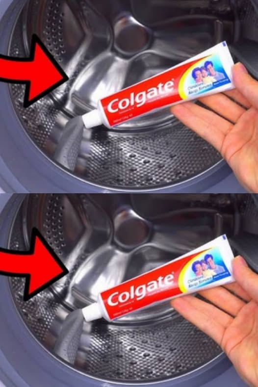 494031192 122190873674279931 4828905430635412319 N