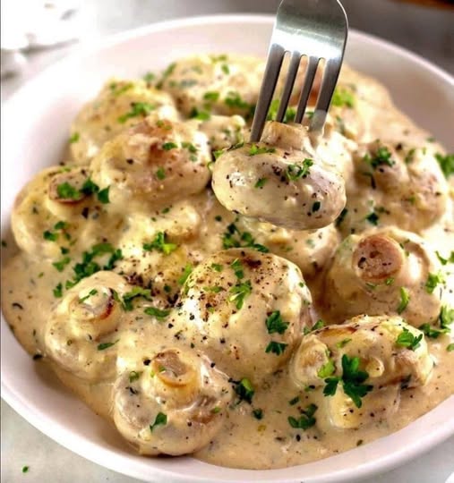 494078648 122191470080279931 2081025660034808663 N