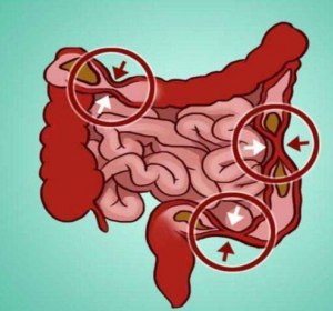 494610031 122191473440279931 2439954538699870219 N