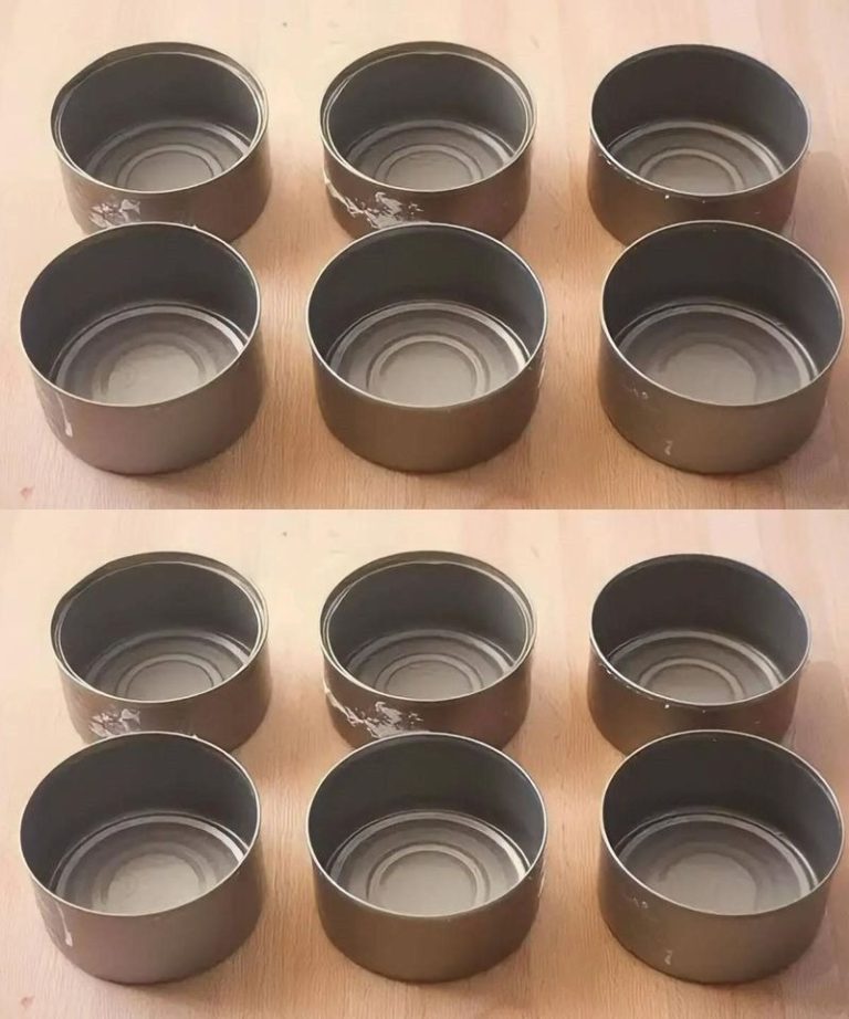 481981470 122195301458103848 6508409500368700622 N (1)