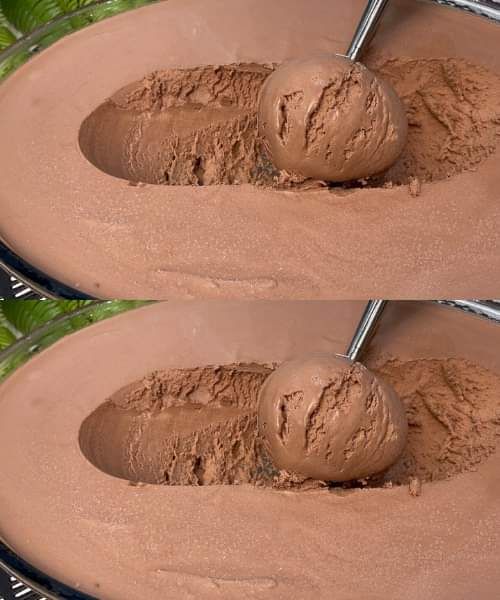 486236568 122198625026103848 1949244131888976419 N