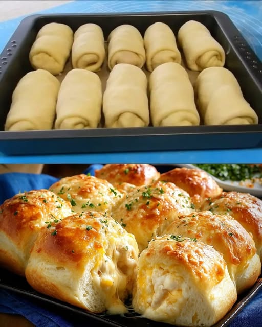 487367994 122199125336103848 928697434892253946 N