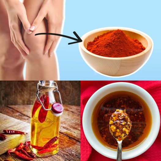 487513146 122200047482103848 8860637286396208798 N