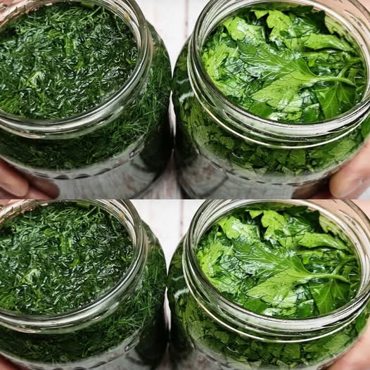 488613653 122200458812103848 6792683949452157825 N