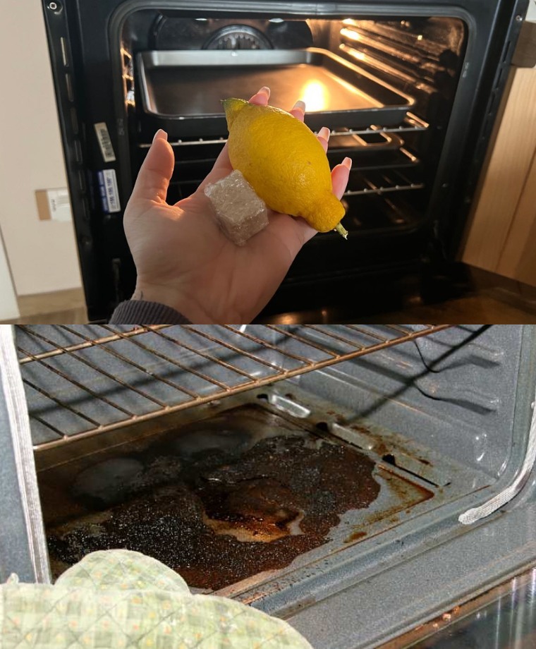 488654231 122200451558103848 234966570494880032 N