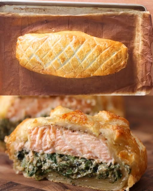 488662044 122200418744103848 8132177254906338991 N