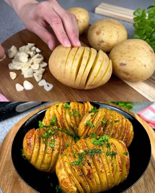 488708289 122200412504103848 2017928886761275348 N