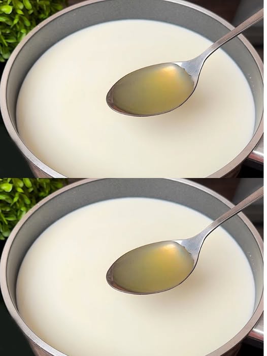 495120469 122192764340279931 8231471895878655864 N