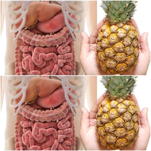 495133733 122192694524279931 7408975241216369746 N