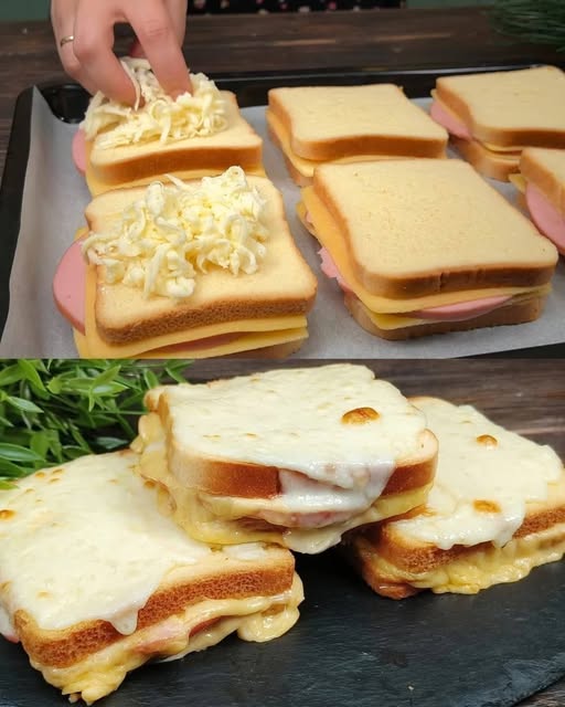 495137867 122192601524279931 1285819662308065678 N