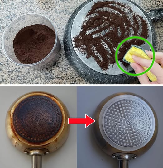 495199715 122192763320279931 4874520236453617847 N