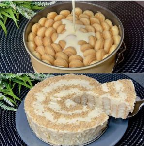 495216269 122192697146279931 3710816396107204435 N